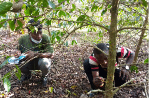 Identification des foreurs sur le terrain