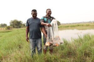 Lire la suite à propos de l’article Farine de soja germé et séché, alternative viable en aquaculture