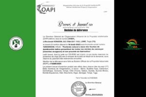 Sécurisation de la valorisation économique d'un résultat de thèse