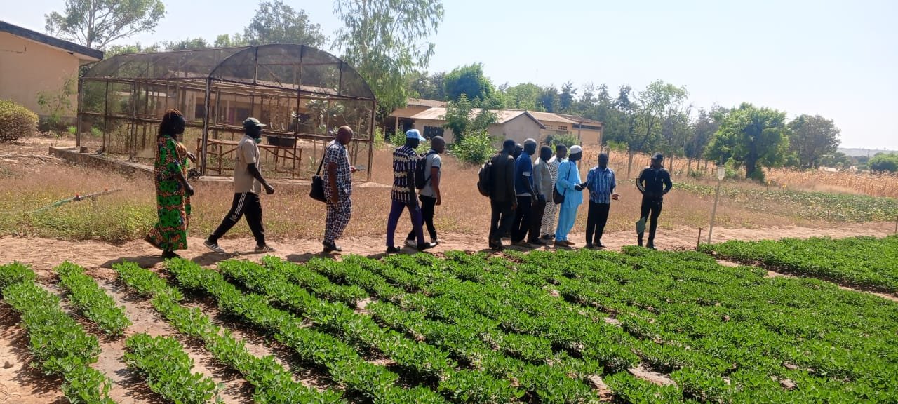 You are currently viewing Les semenciers des Savanes s’offrent la première visite au Technoparc de l’ITRA à Dapaong